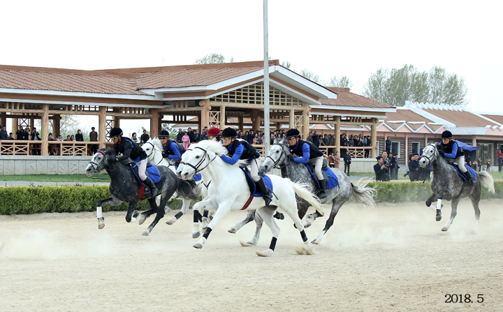 13-인민의 문화정서생활기지-미림승마구락부